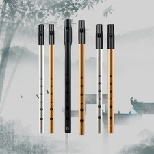 Fischietto irlandese sonoro dolce tono 6 fori per principianti professionisti oro/argento