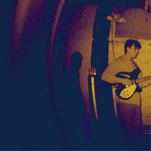 Альбом Real Numbers Wordless Wonder (CD)