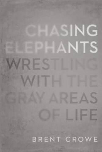 Chasing Elephants: Wrestling with the Gray Areas of Life - Paperback - GOOD