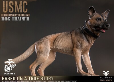 1:6 Scale Flagset USMC Dog Trainer 12