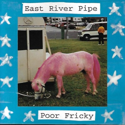 Poor Fricky by East River Pipe (CD, 1995, Merge)