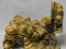 Puzzle box. Made from Buckeye root Signed by artist. Glass eye NOT included.