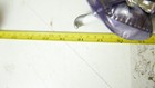 Picture 13 of 13
