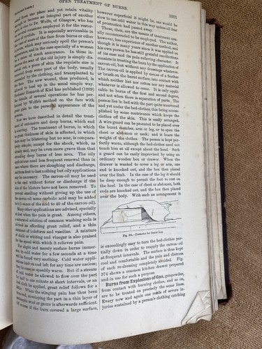 The Household Physician McGregor-Robertson überarbeitet & vergrößert Hardcover Vol 1 & 2 - Bild 9 von 24
