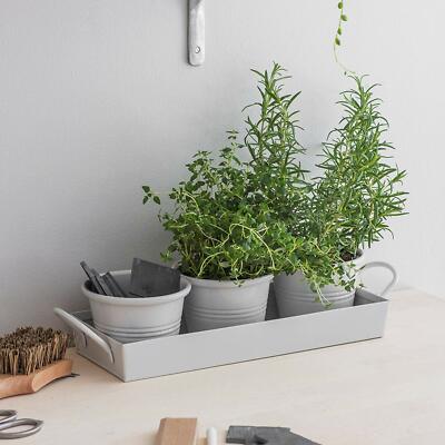 Small Kitchen Metal Herb Pots Set Window Sill Garden Plant Indoor