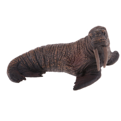 Meerestiere Figur Kunststoff Walross Modell Sea Life Tiere Spielset Modell Kinder