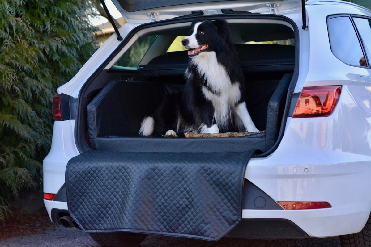 hundespielzeug karotte Karotte – Redoggo