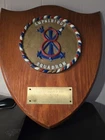1968 VINTAGE AMPHIBIOUS SQUADRON 8 PLAQUE US NAVY COLLECTIBLE RARE VIETNAM