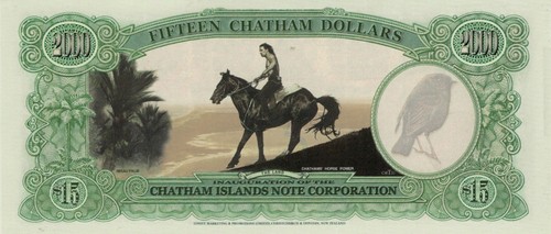 Chatham Islands 15 Dollars (1999) - Bird/Man on Horseback/NIP Polymer Note UNC - Picture 3 of 3