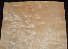 Japanese Sen Raw Wood Veneer Sheets  18 x 43 inches  1/42nd           35136-44