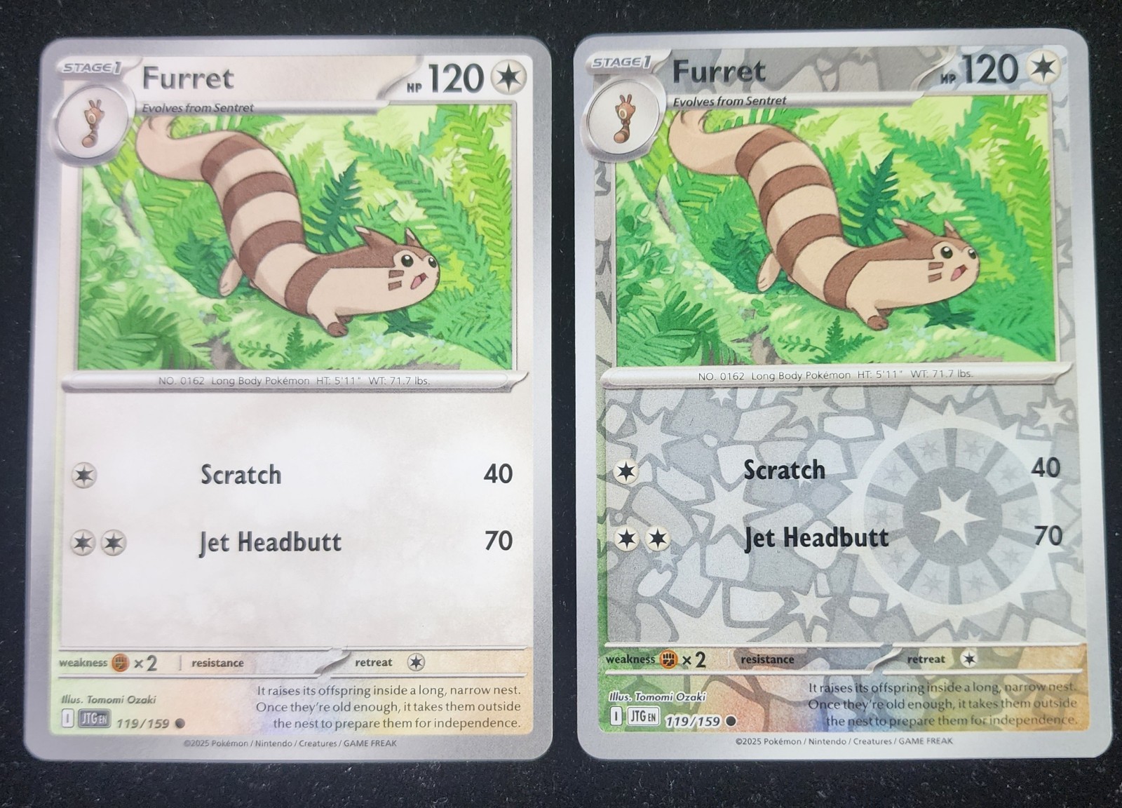 Pokemon Furret 119/159 Reverse Holo & Regular Common Card Pair.  NM