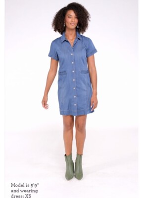 cabi denim dress CAbi Small Piece of Cake Dress Riverhouse Wash Blue Denim #6580 NWT Spring  2024