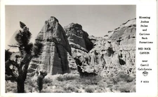 Red Rock Canyon CA Joshua Palms Rock Formations RPPC Real Photo Postcard