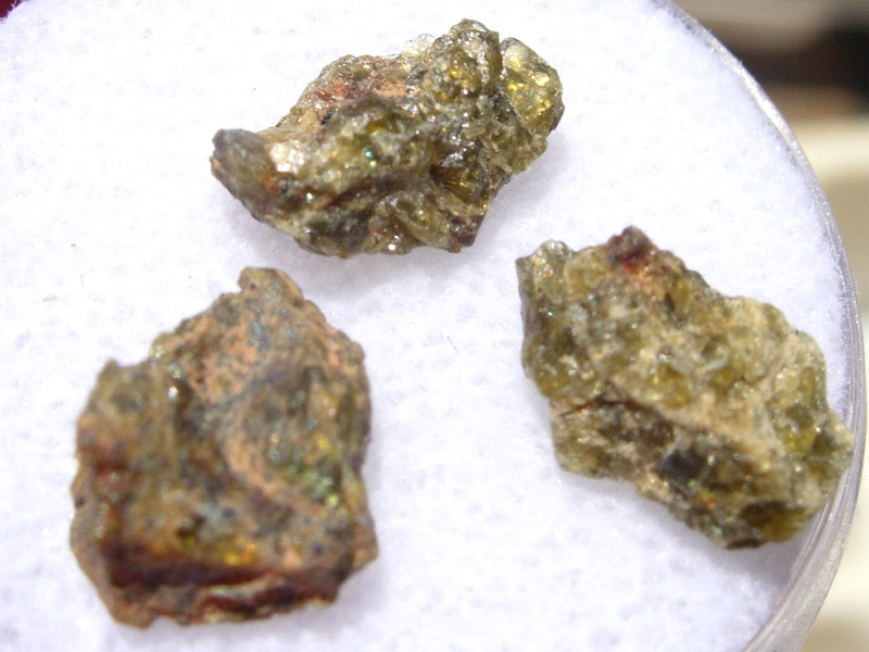 1.03 grams NWA 12812 Meteorite HED achondrite (Diogenite) 3 fragments with a COA
