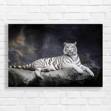Wildlife Big Cat  Tiger Majestic Animal Canvas Print Large Picture Wall Art