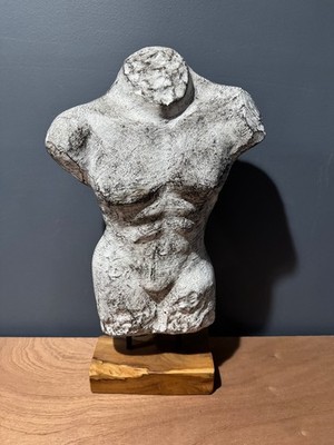 Male Torso Statue by Koopman International Fiber Cement Mounted on Wood Base