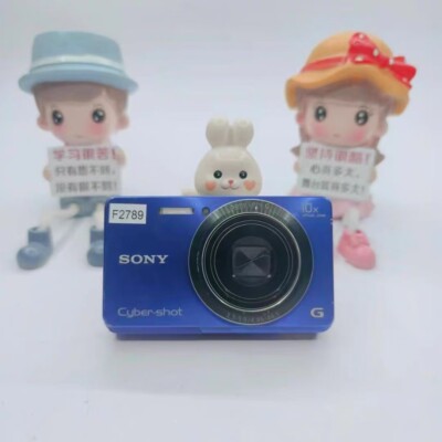 Sony Cyber-shot DSC-W690 16.1MP CCD Vintage Digital Camera - 100