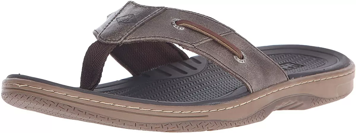 Sperry Men s Baitfish Thong Sandal eBay