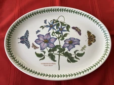 Portmeirion Botanic Garden "Clematis Florida" 13"x9.25" Oval Platter