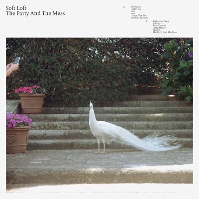 Soft Loft The Party and the Mess (Vinyl LP) 12" Album