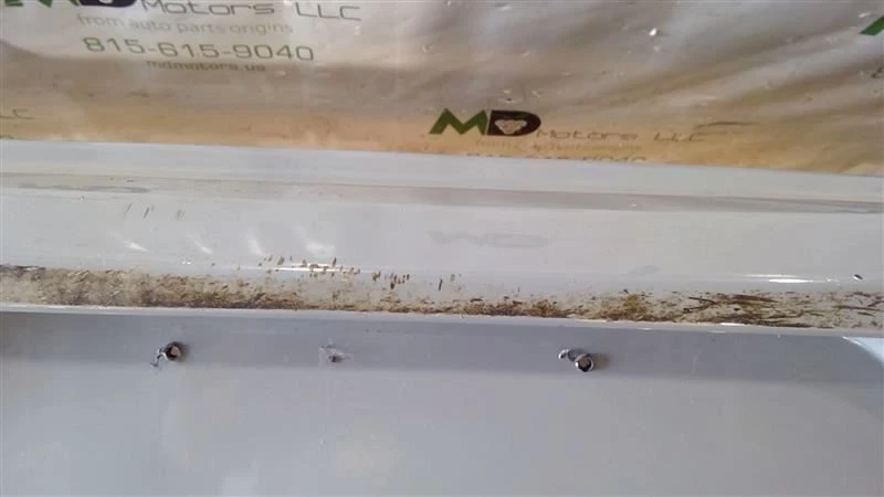 Dodge Charger 2015-2021 parachoques trasero cubierta panel OEM 5PP50TZZAD / 5290000 Foto 3 de 4