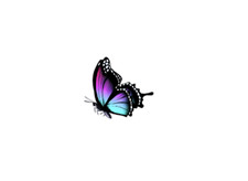 Purple Butterfly T34f Side View Butterfly Vinyl Decal Sticker  Waterproof