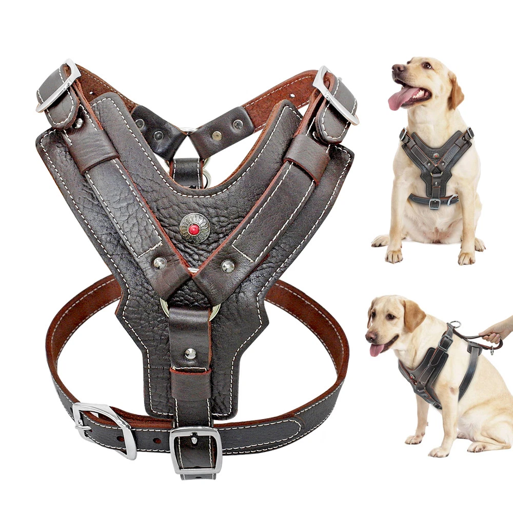 Escape proof pitbull harness top