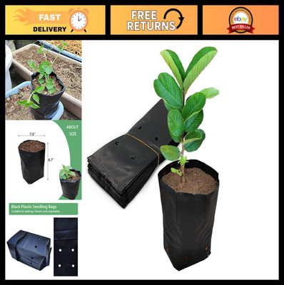 100 Pcs Black Seedling Pots - Nursery Growing Bags for Gardening, Fruit Trees, S