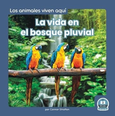 Connor Stratton La vida en el bosque pluvial (Life in th (Paperback) (UK IMPORT)