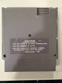 THE IMMORTAL (NINTENDO NES) AUTHENTIC