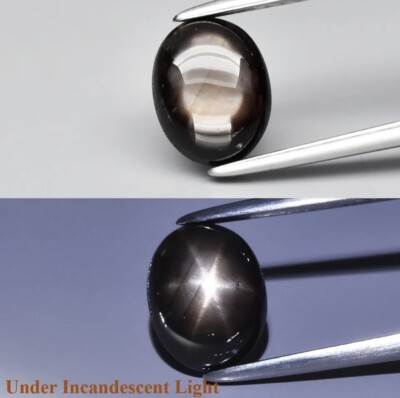 Natural 2.01ctw 8x6.3mm Oval Cabochon Black 6Ray Star Sapphire Unheated Thailand