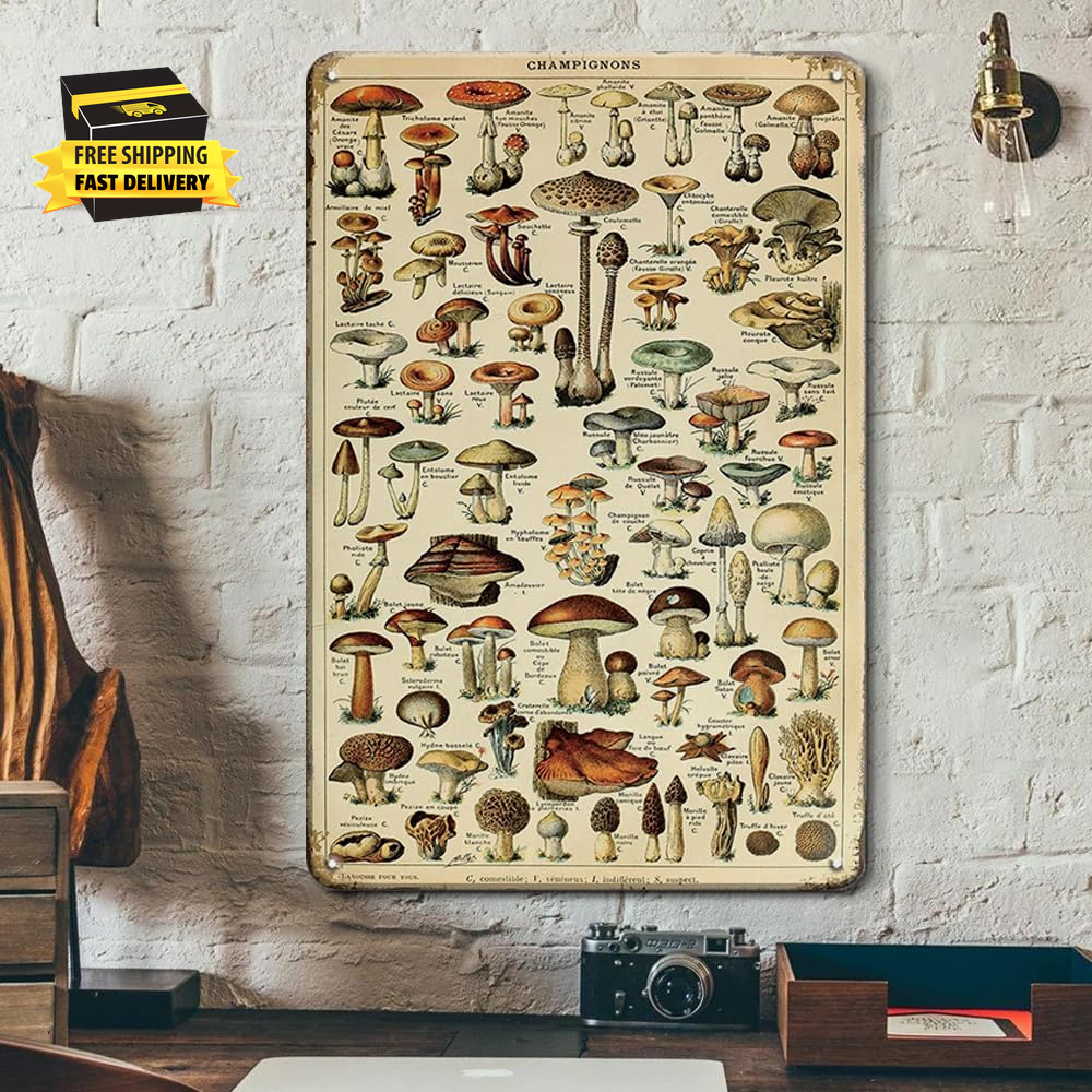 Vintage Mushroom Poster Fungus Wall Art Retro Tin Sign - Mushroom Species Identi