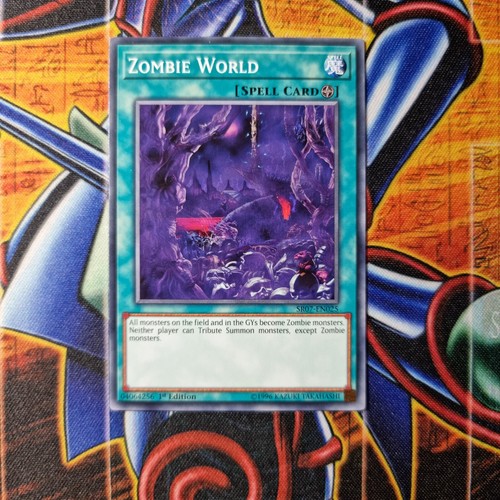 Zombie World - SR07-EN025 - Common - 1st Edition