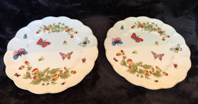 VNTG Set of two 6.75'' Desert or Salad Plates by Royal Crown ''Spring Time'' 1960