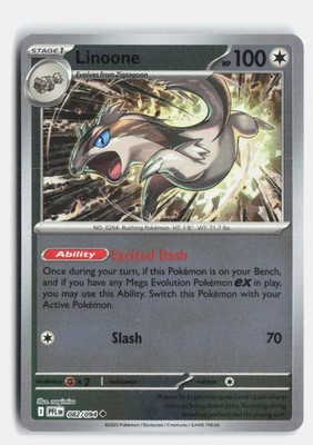 Linoone 082/094 Phantasmal Flames Uncommon Pokemon Reverse Holo NM