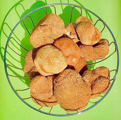 Löwenmähnenpilz | Bio-Superfutter aus UK-Anbau | Memory, Focus & Dog Support