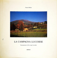 Bellato,Francesco. - La campagna lucchese. 