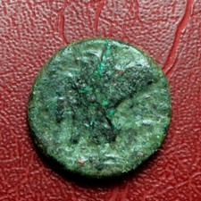 Monnaie Rares À L'Envers Du Contre-Attaque De L'Aigle De Ptolémée D'Égypte