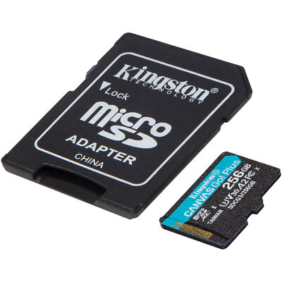 Kingston Canvas Go! Plus 256 GB microSDXC, Speicherkarte, schwarz