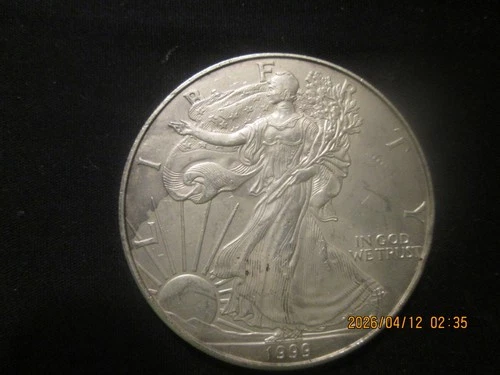 1999 American eagle Silver $1,.999 fine silver, heavy toning on coin,Unc.