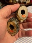 Vintage Ceramic Quail Grouse Set of 2 Made in Japan Mini Hen & Chick Matte MCM — photo 7