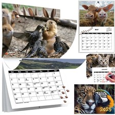 Cute Animals Calendar 2025 Wall Calendars 12 Monthly Planner