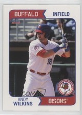 2015 Choice Buffalo Bisons Andy Wilkins #24 h1f