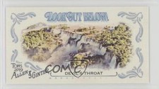2019 Topps Allen & Ginter Look Out Below! Minis Devil's Throat #LOB-10 9bp