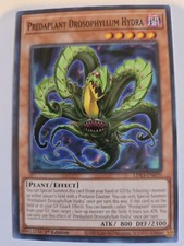 Yugioh LDS3-EN070 Predaplant Drosophyllum Hydra in hand