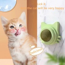 2Pcs Pet Catnip Ball Cats Wall Toys Healthy Natural Cleaning Teeth for Cats Lick