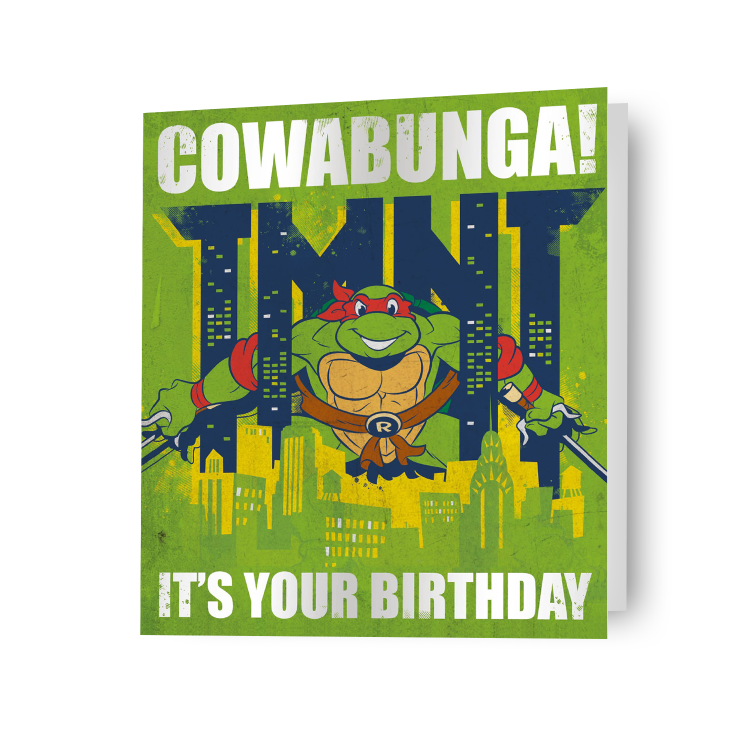 Boys Birthday Card Teenage Mutant Ninja Turtles Birthday Card Includes Envelope