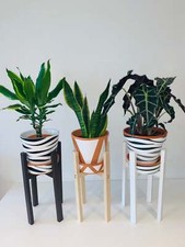 Classic Leg High Tier Plant Pot Stand Hand made in 100% UK
