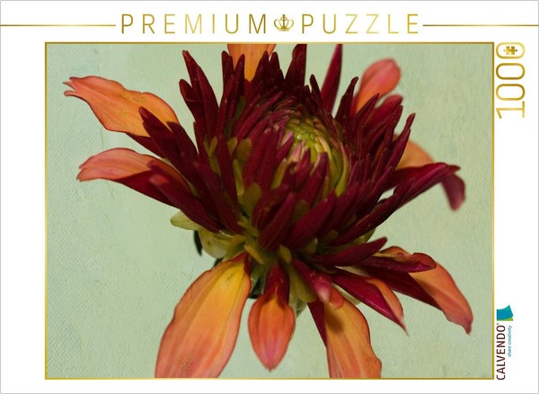 Calvendo Puzzle Multifaceted | 1000 Pieces, Finished Size 25.2 × 18.9 In (64 × 4-image
