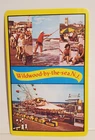 VINTAGE WILDWOOD BY THE SEA NEW JERSEY NJ BEACH BOARDWALK LG SINGLE PLAYING CARD